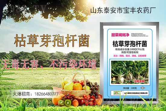 �ݲ�ѿ�ߗU���ܽ�Q������Щ���}���ݲ�ѿ�ߗU�����r(n��ng)�����ϵđ�(y��ng)�ã�