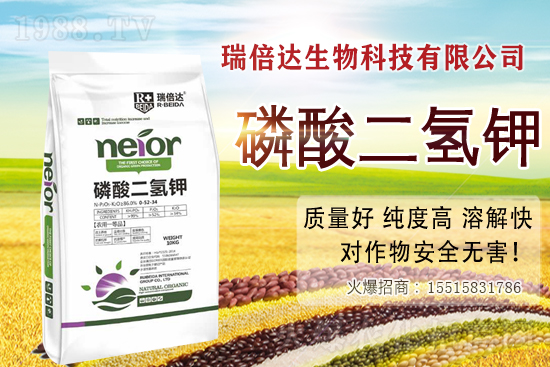 ����ʹ�������������a�������������⛵ĸ��Ѵ�n����Щ(�ղذ�) 