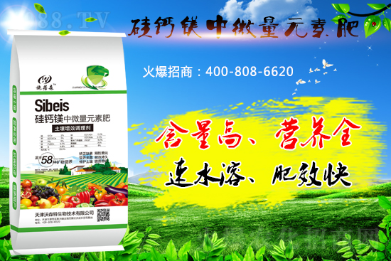 ���}�VԪ�ط����˽��������̎����Щ��