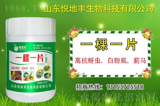 �߿����x���׷�ʭ���E�R��ʲô����һ�x������