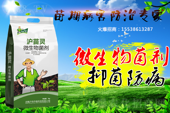 �������ڲ����������������������A(y��)�����������ˆ���