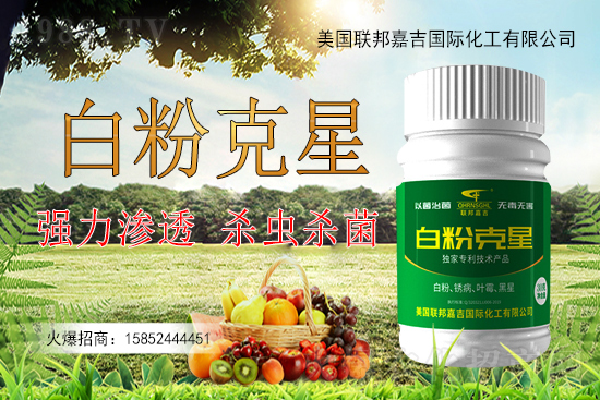 �����׷۲�����y�Է����������׷۲������ˎ����Ч������