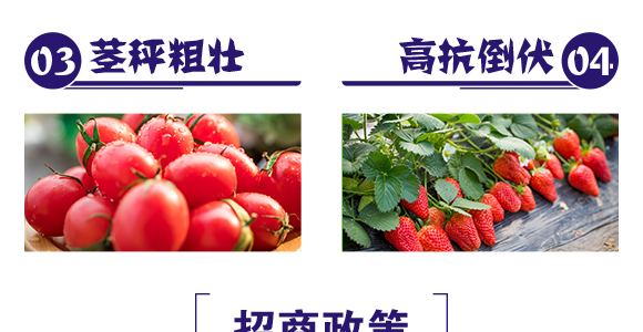 ��ƷС���߮a(ch��n)�ײ�-ِ��¶_06