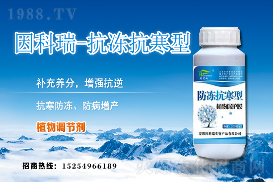 ���յ��ȃr(ji��)������Xһ����2020��12��9�յ��ȃr(ji��)������