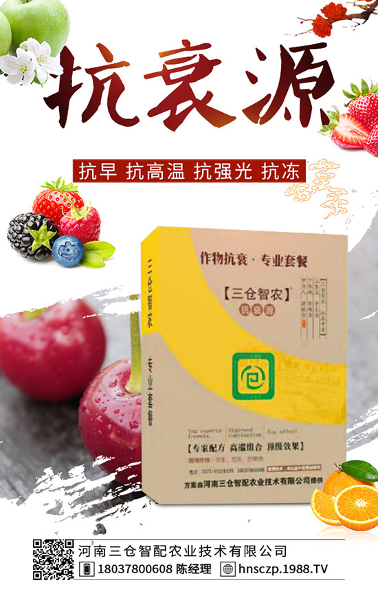 三月份適合種植什么蔬菜？三月份蔬菜種植注意事項(xiàng)！