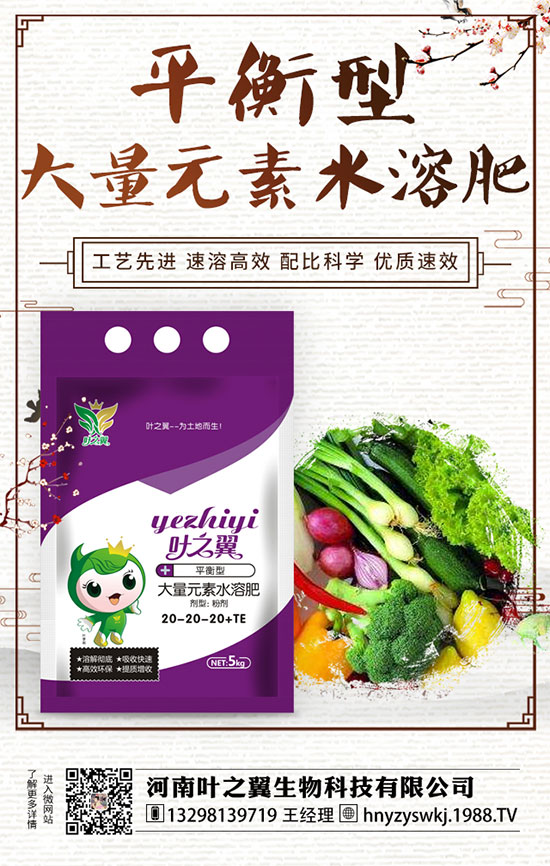 ĵ��ʲô�r(sh��)���_(k��i)����������L(zh��ng)ĵ���_(k��i)���r(sh��)�g��