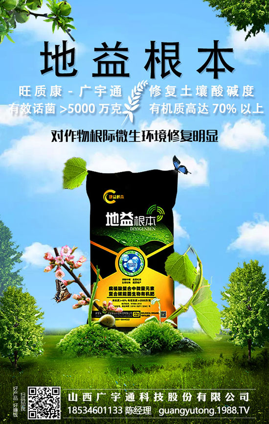 �����Nֲ��������픱ز�������