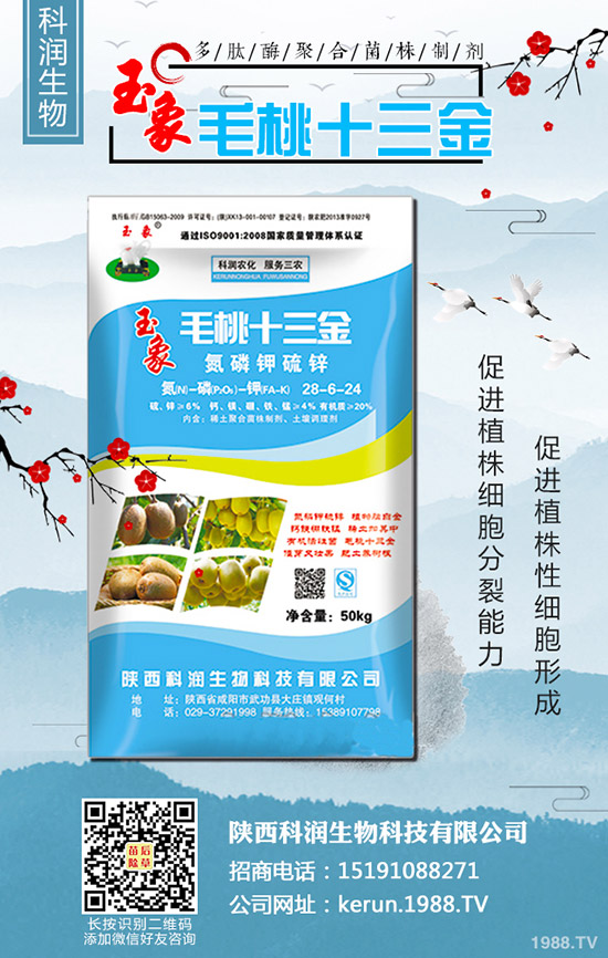     ���裺�����B�m(x��)�q�r���L(f��ng)�U�����2020-3-13��������r��