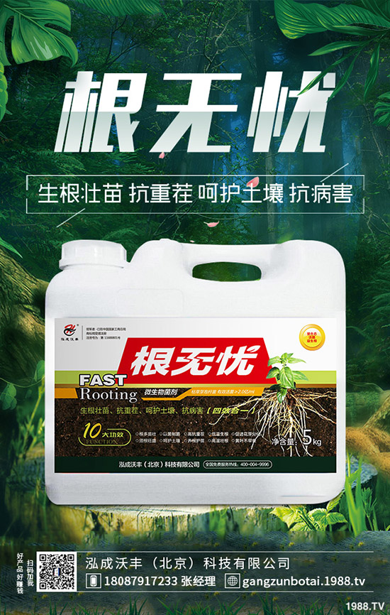 豆角鉆心蟲(chóng)危害大、抗性大怎么辦？豆角鉆心蟲(chóng)綜合防治！