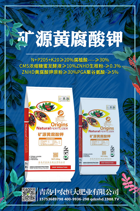 �紺���˷Nֲ���g����Щ�����g����Ҫע��ʲô��