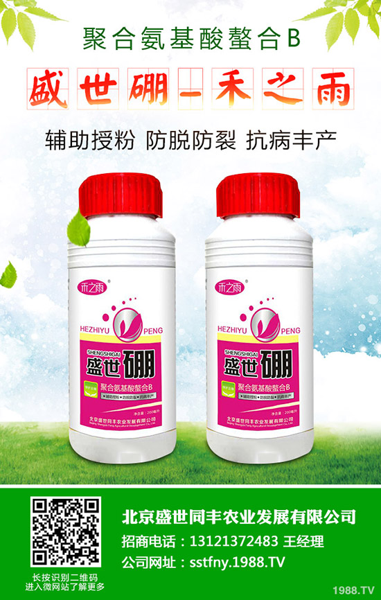 如何促進西瓜種子發(fā)芽?西瓜種子發(fā)芽要注意哪些問題