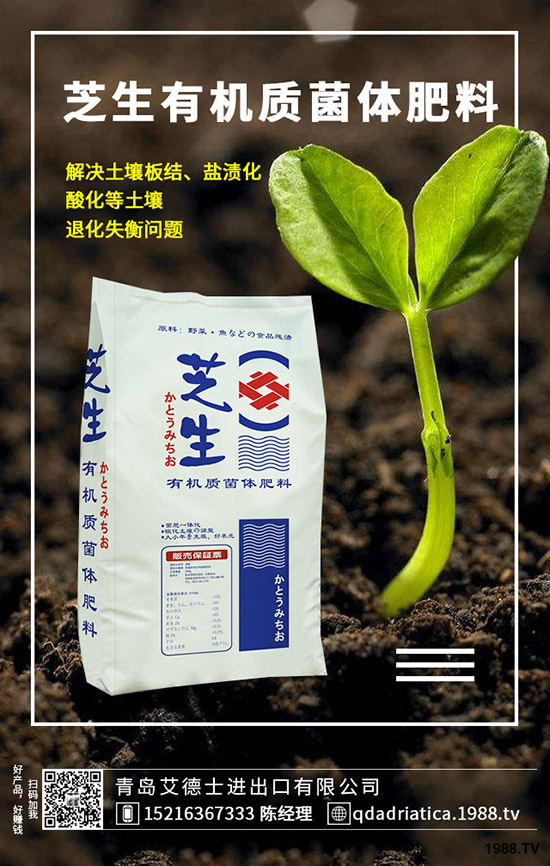 ��������ô��Ч�����ã������ص�ʹ�÷�����