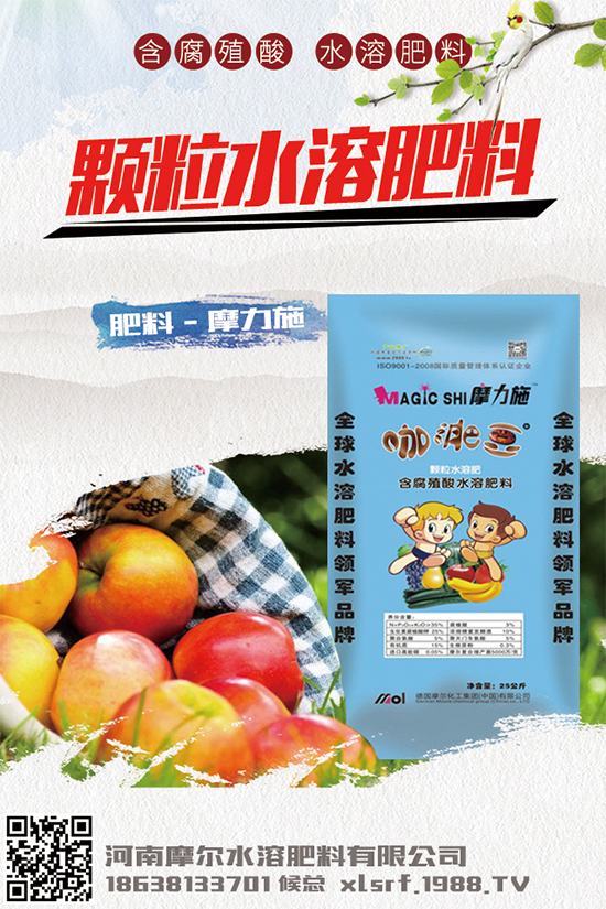 �Nֲ���g���X����2020���g�Nֲǰ����Ч�����