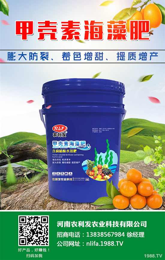 �Nֲ���g���X����2020���g�Nֲǰ����Ч�����