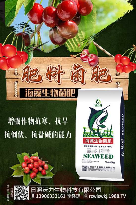 �R���Ј�ǰ����ô�����R��Nֲ����Ҫ�c����Щ����