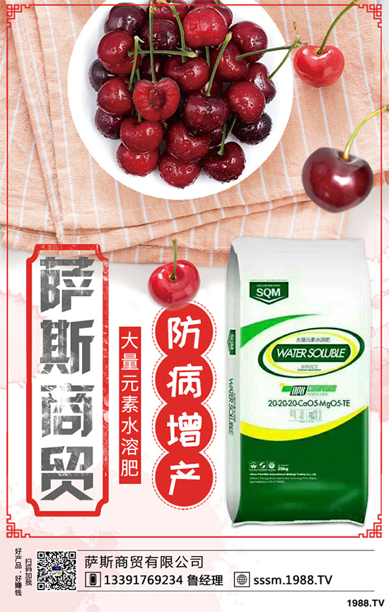 ������ԓ��ηNֲ���紺���׸߮a(ch��n)�Nֲ���g(sh��)Ҫ�c(di��n)