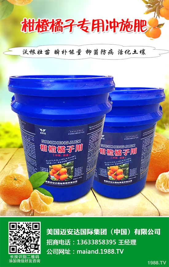 花椒樹該如何種植？三步幫你輕松種出高產(chǎn)花椒！