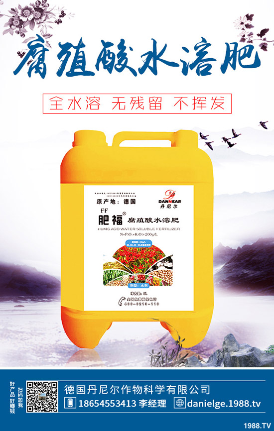 ������ô���ٴ�ѿ�����˴�ѿ�����������