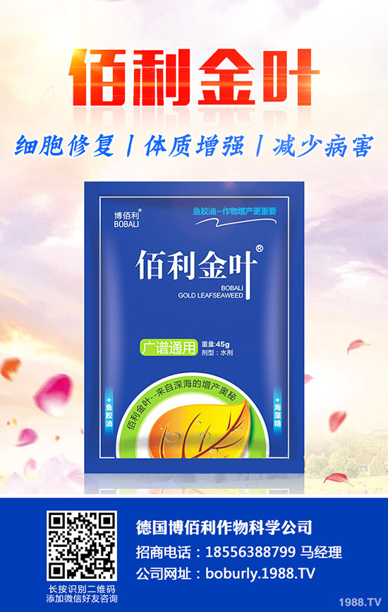 果樹如何預(yù)防肥害，發(fā)生肥害了如何補(bǔ)救？