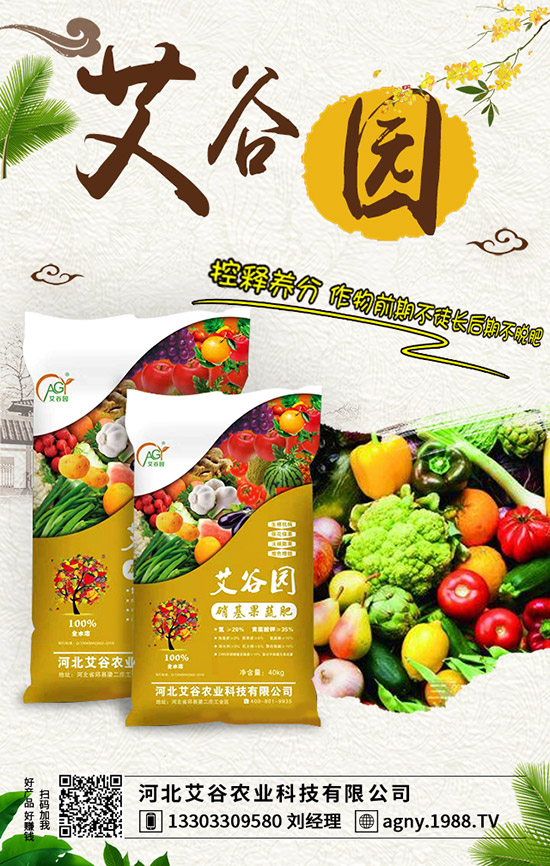 �O����(sh��)ʩ�ʲ���(d��ng)��ʺ������ҽ�������A(y��)���ʺ���