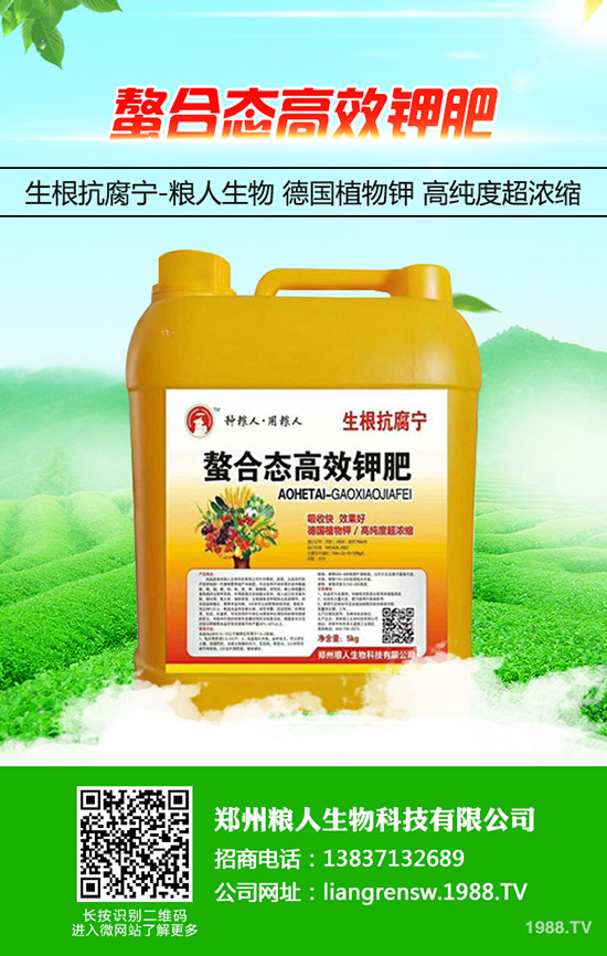 蔥得了灰霉病怎么辦？大蔥灰霉病的防治方法！
