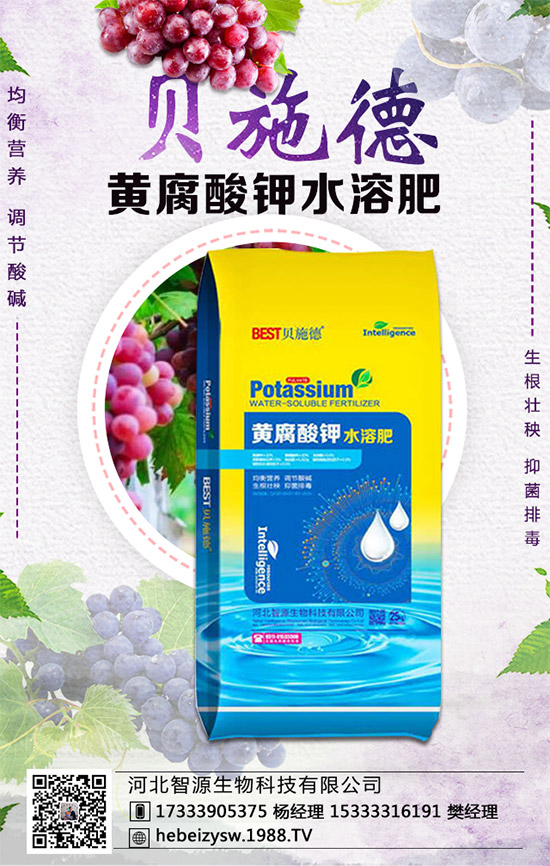 芹菜的營養(yǎng)價值有哪些？常吃芹菜有什么好處？