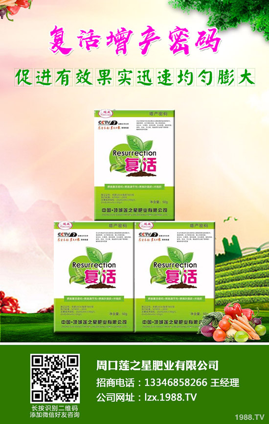 �n�����ʩ�����n����ʲô���Ϻ���