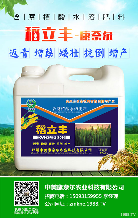 С�����·����������������ж��Ӱ���ԓ����a����С�����·��r��ָ��