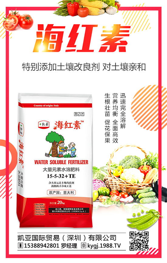 茄子對(duì)生長(zhǎng)環(huán)境有何要求？茄子苗高矮不齊的原因及措施！