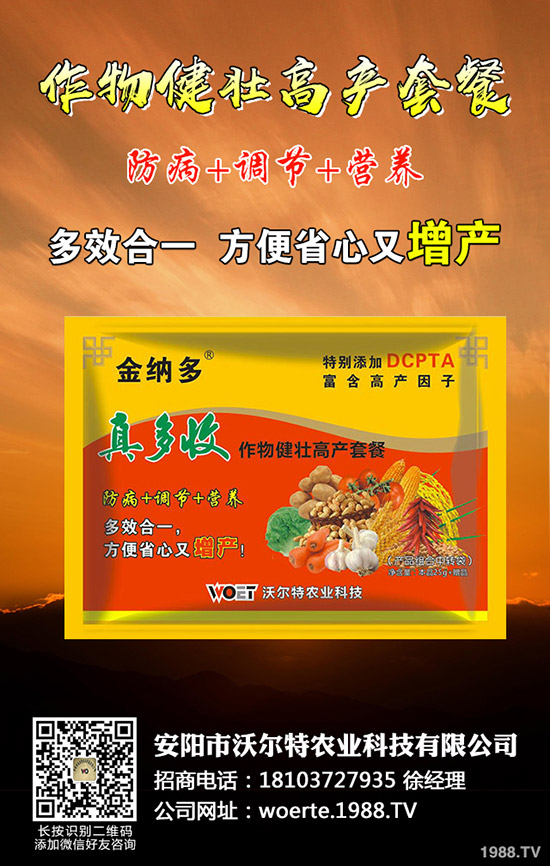 ������ô�N����������ѷNֲ�r�g�����༼�g(sh��)��