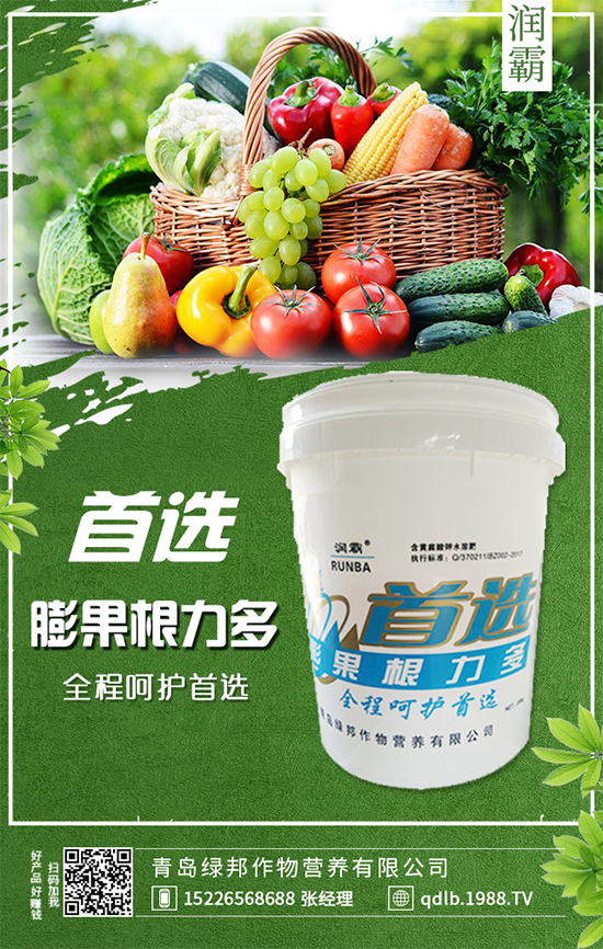 萬年青插桿及播種要點，室內(nèi)萬年青種植注意事項！