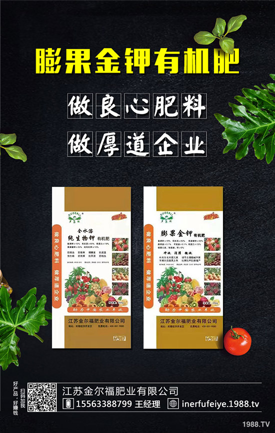�紺�����������߮a���紺�����Nֲ���g��