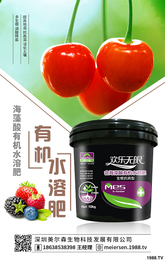 楊梅的品種有哪些？該如何栽培？春季楊梅種植技術(shù)
