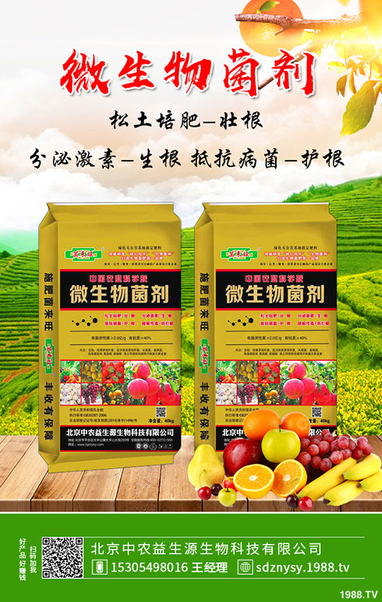     ��(f��)�Ϸ��Ј�(ch��ng)��(b��o)�r(ji��)С���µ�ԇ̽������(f��)�Ϸʃr(ji��)���������2020-4-15��