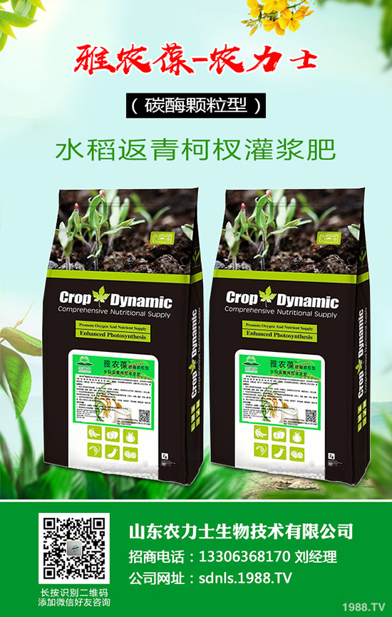     ����(n��i)���؃r(ji��)��С��̽�q���������������߄ݾC���A(y��)�y2020-4-16