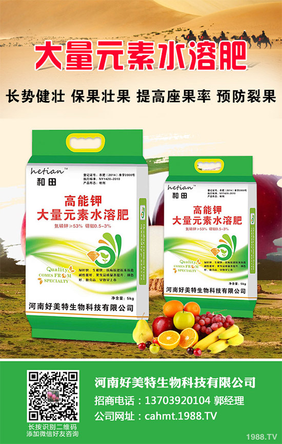 �����[��ηNֲ���ܸ߮a(ch��n)����Ҫע��ʲô���@�傀С���ɷ���һ����