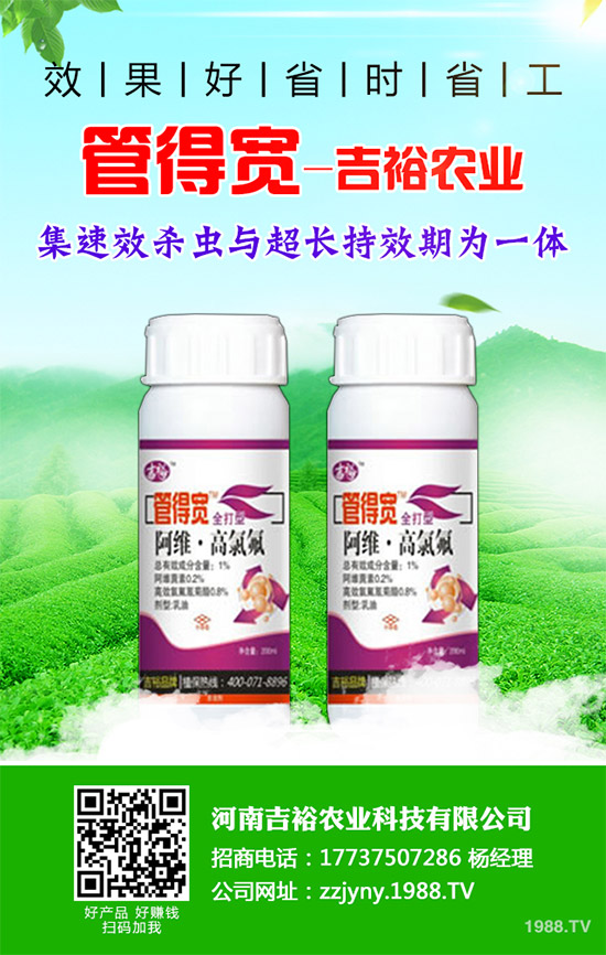 �����������x�������������������g(sh��)����