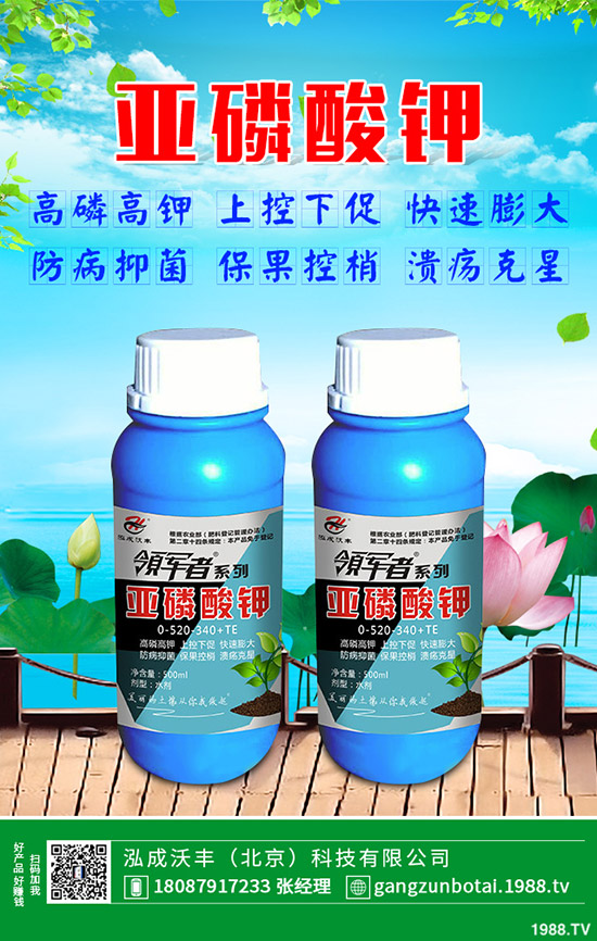 �S�Ϗ�����ʲôԭ�������S�Ϗ��ϸ���Ҫ�E��