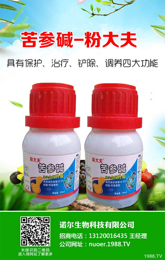 �{�����ӵă�(y��u)��(sh��)�����x(ch��ng)���δ��(l��i)ֲ���Ј�(ch��ng)�д�������