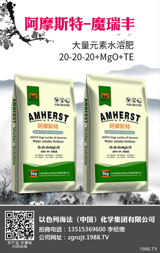 2020�괺����ʲô�r(sh��)�g���N�������׷Nֲ���g(sh��)