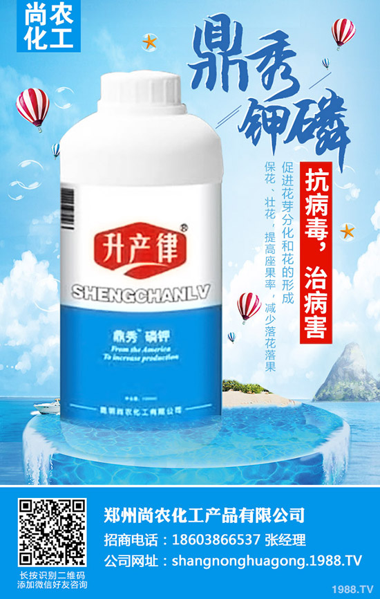     ���{(l��n)���Y(ji��)����ô�k�����{(l��n)���Y(ji��)��ԭ�򼰷��δ�ʩ��