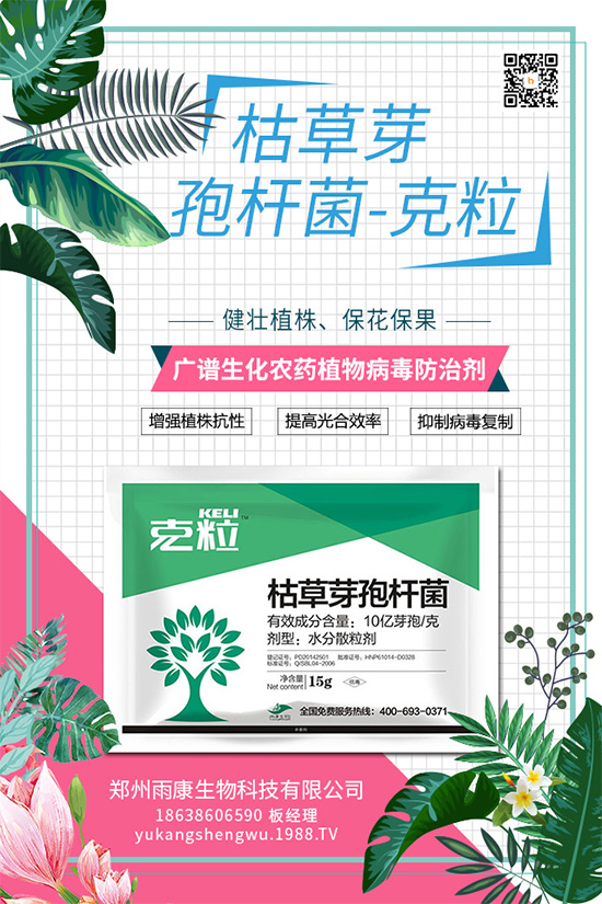 ����(n��i)����(chu��ng)��ֲ��Դ����(x��)��ˎ���ذ����u��