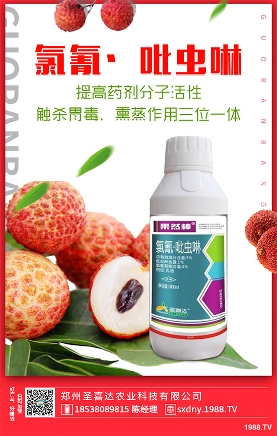 ��������ӛ���������x(ch��ng)�y��߀�������������T��Ҫ���(qu��n)�����أ�