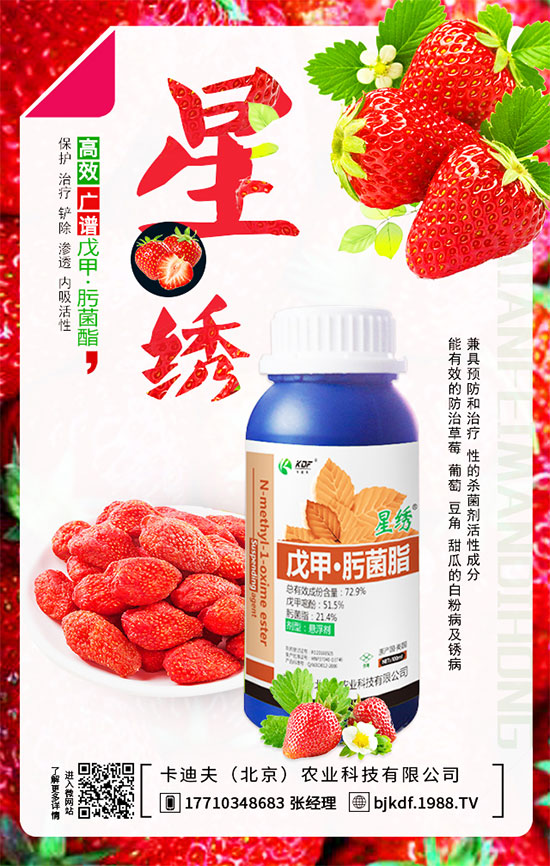 豆角要不要打尖?豆角如何正確整枝打尖呢?