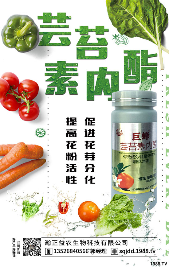 ����(n��i)ֲ��Դˎ��������̦�������g(sh��)�a(ch��n)Ʒ��̦������������