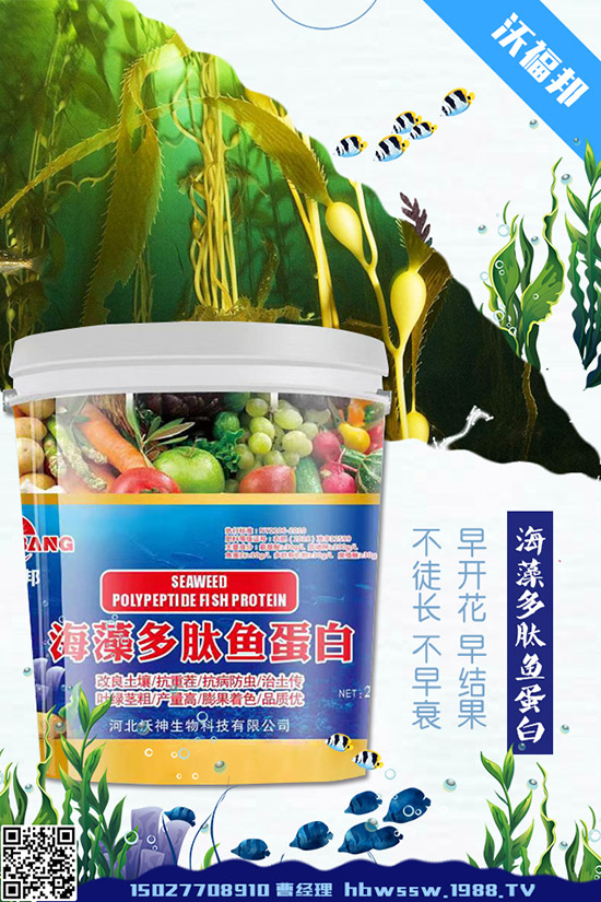     ���ӷNֲ��Ҫע����Щ���}�����ӵ�ˮ�ʹ���Ҫ�c��