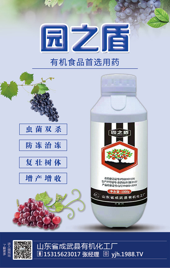 蘆筍如何施肥?蘆筍用什么肥料好?蘆筍需肥特點及注意事項!