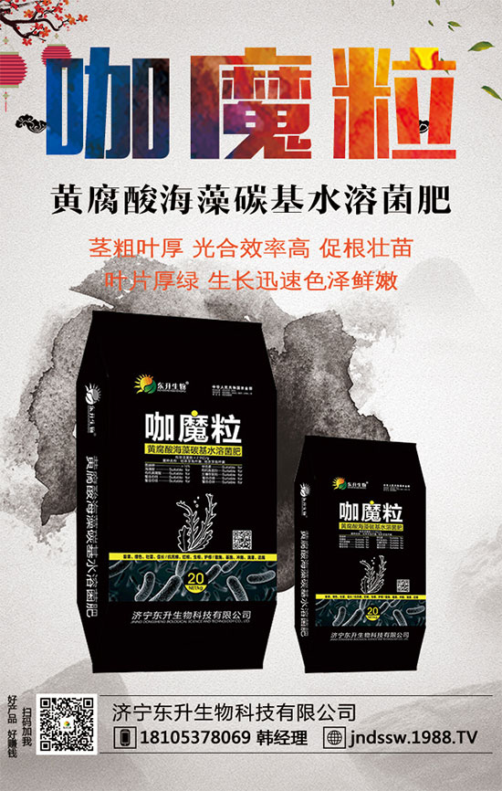 С����ʲô�g�Nֲ�r(sh��)��С���۷Nֲ����Ҫ�c(di��n)��