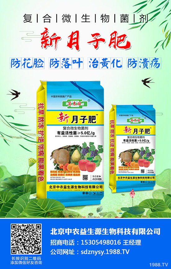     С�����~��ʲô��С�����~����������Щ��С�����~�Q���a(ch��n)��ô��