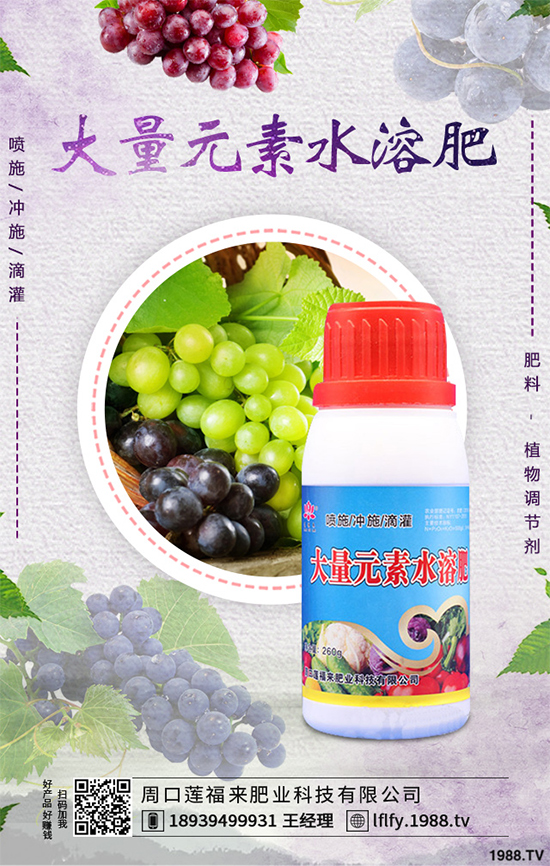 ���v�̶����Xһ�����Nֲǰ���������ˎ�ĵ�Ч�����